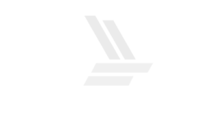 Grupo Almeida Pallu